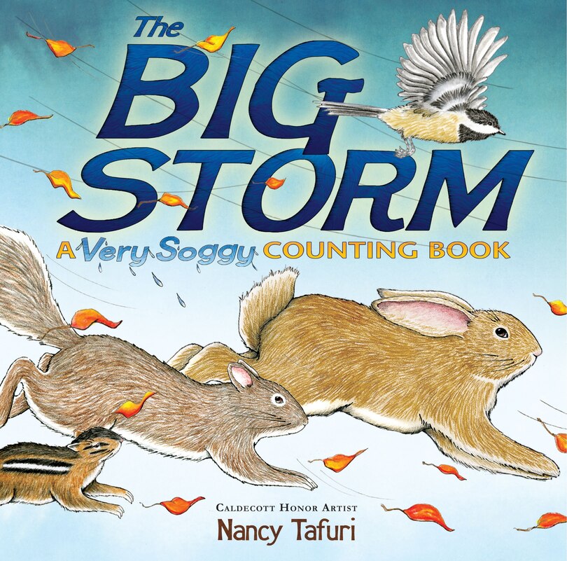 Front cover_The Big Storm