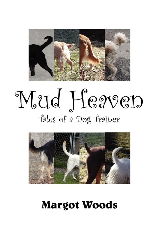 Couverture_Mud Heaven