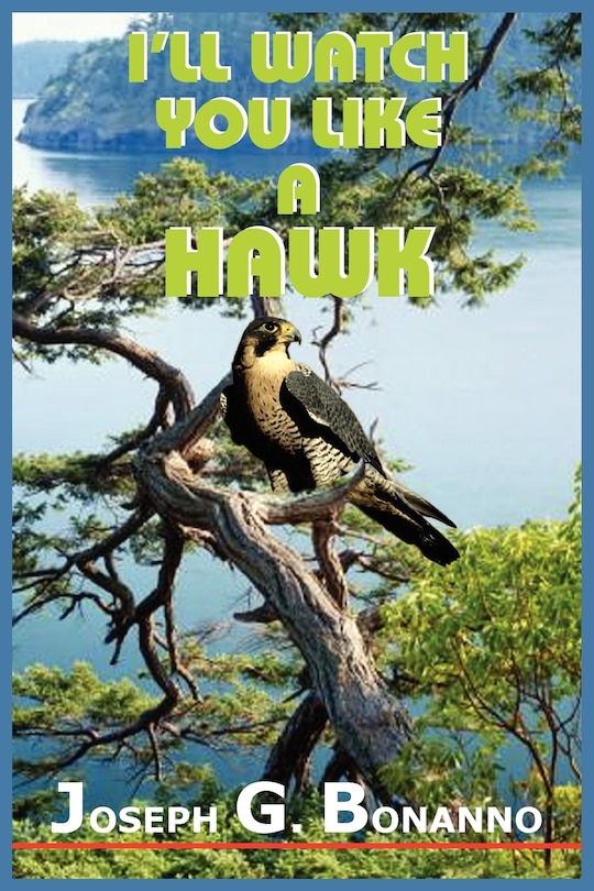 Front cover_I'll Watch You Like a Hawk