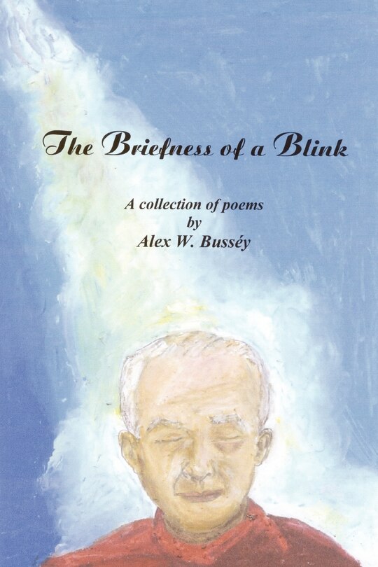 Front cover_The Briefness of a Blink