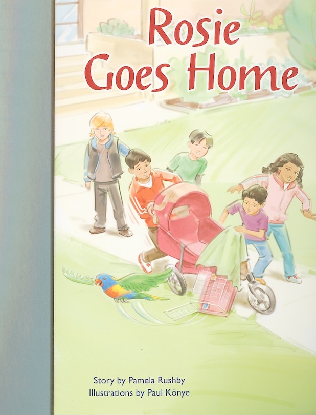 Couverture_Rigby PM Stars Bridge Books