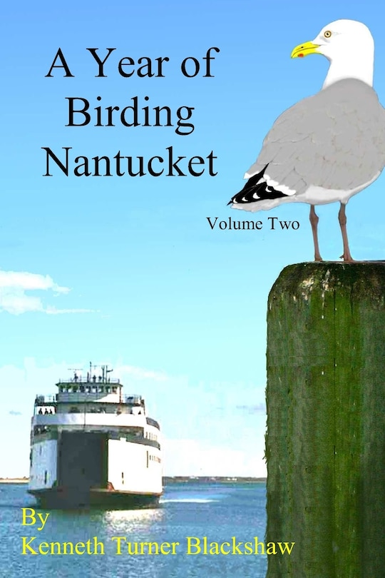 Front cover_A Year of Birding Nantucket
