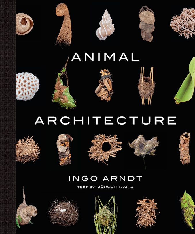 Animal Architecture: Photographs of Natural Habitats