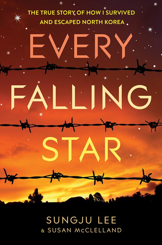 Front cover_Every Falling Star