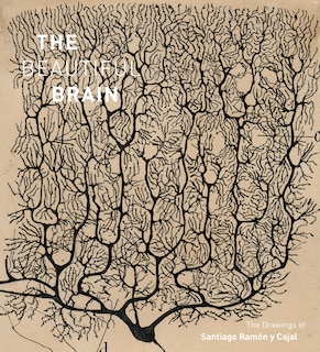 Front cover_The Beautiful Brain