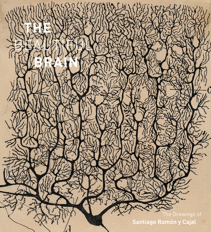 Front cover_The Beautiful Brain