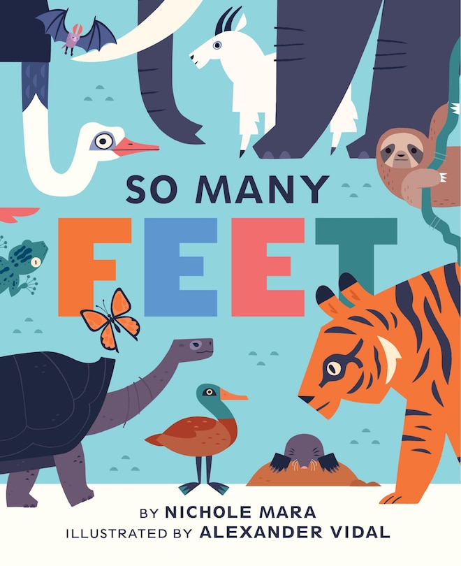 Front cover_So Many Feet