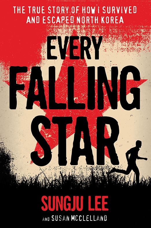 Front cover_Every Falling Star