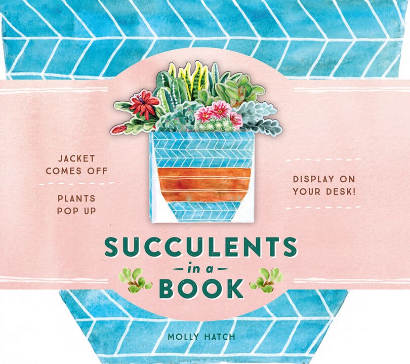 Front cover_Succulents In A Book (uplifting Editions)