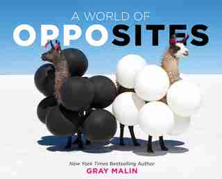 World of Opposites de Gray Malin
