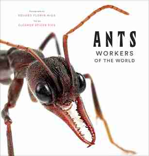 Ants: Workers Of The World by Eleanor Spicer Rice