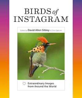 Couverture_Birds Of Instagram