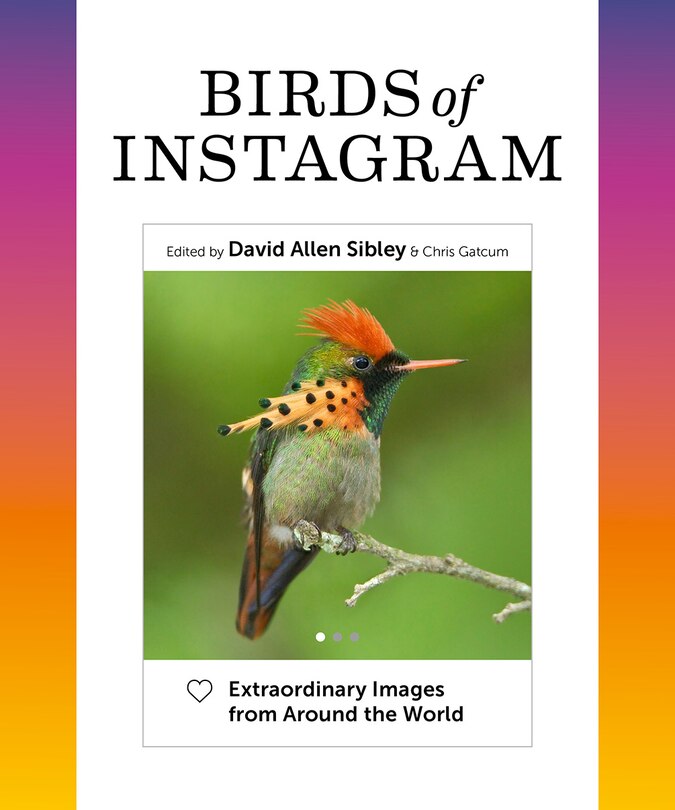 Couverture_Birds Of Instagram