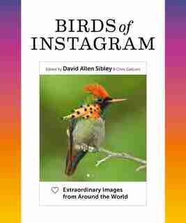 Birds Of Instagram: Extraordinary Images From Around The World by David Allen Sibley