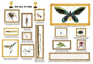 Front cover_Bugs: A Skittery, Jittery History