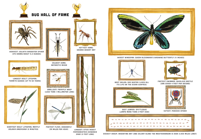 Front cover_Bugs: A Skittery, Jittery History