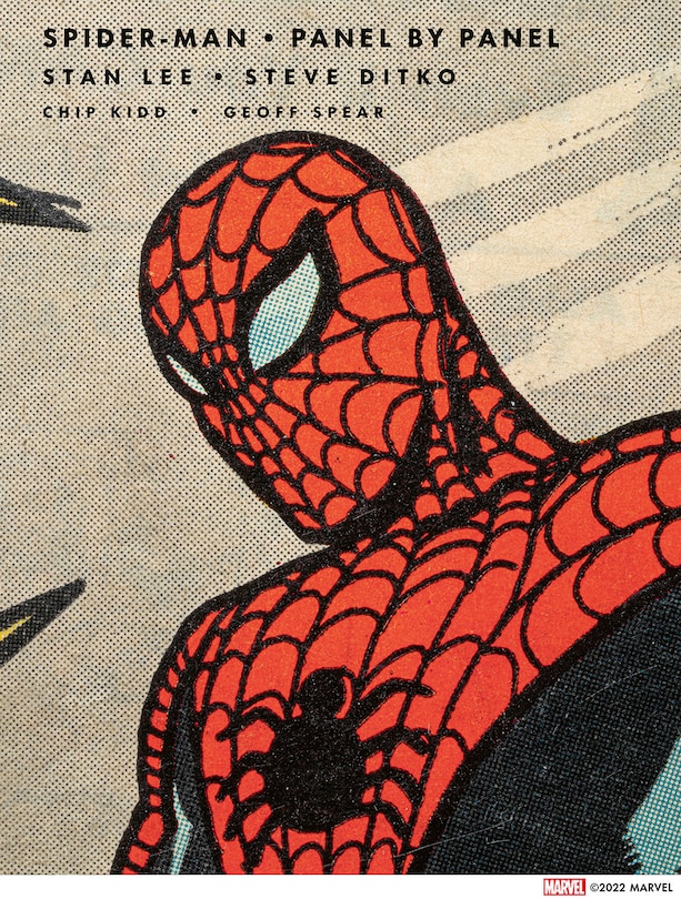 Front cover_Spider-man: Panel By Panel