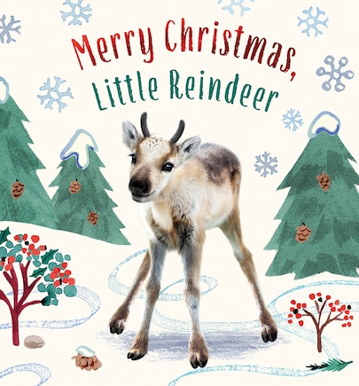 Merry Christmas, Little Reindeer: A Board Book