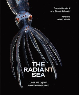 Couverture_The Radiant Sea
