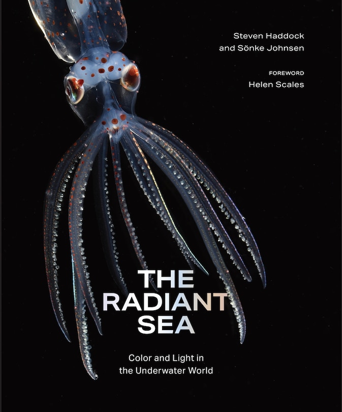 Couverture_The Radiant Sea