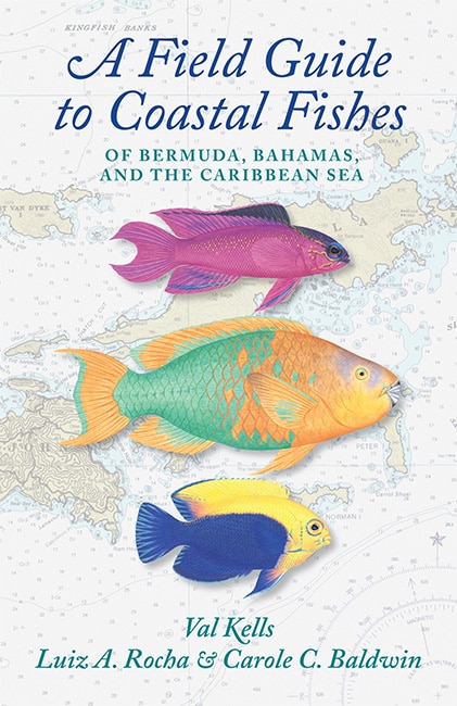 Couverture_A Field Guide to Coastal Fishes of Bermuda, Bahamas, and the Caribbean Sea
