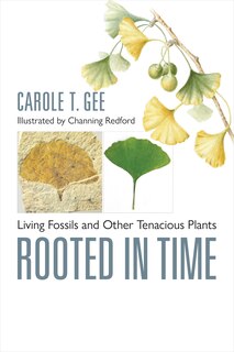 Front cover_Rooted in Time