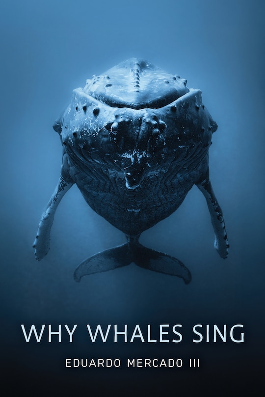 Couverture_Why Whales Sing
