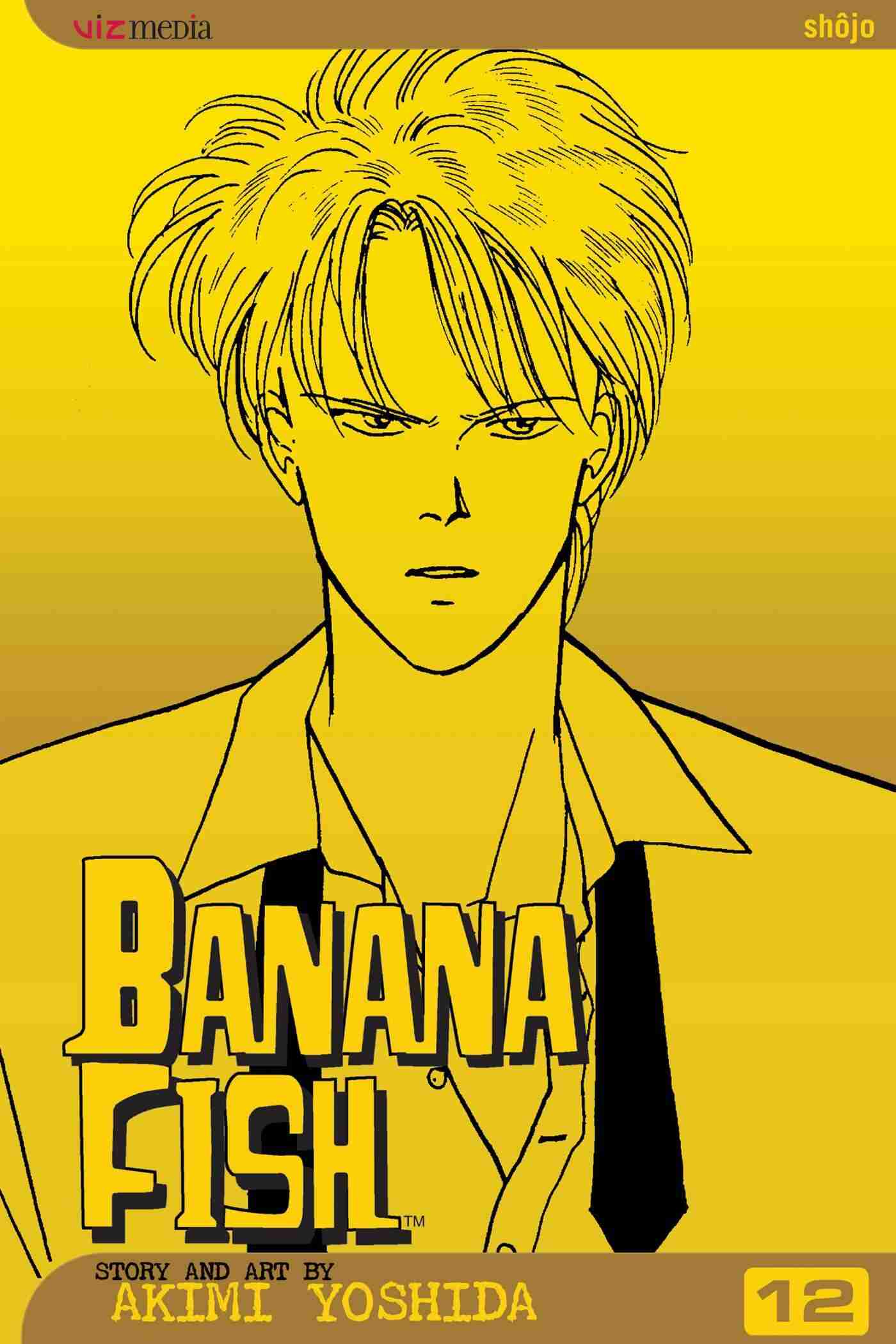 Banana Fish Vol 12 Book By Akimi Yoshida Paperback Www Chapters Indigo Ca