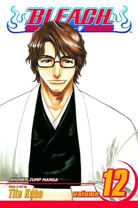 Front cover_Bleach, Vol. 12