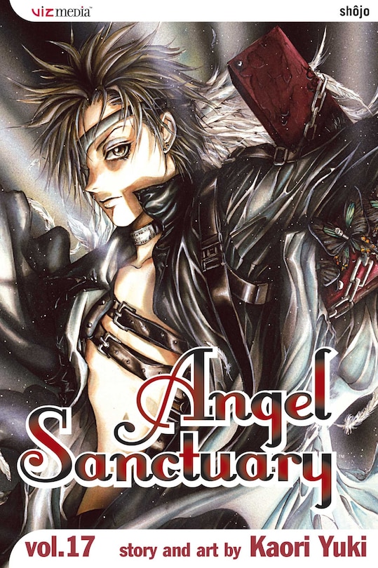 Front cover_Angel Sanctuary, Vol. 17