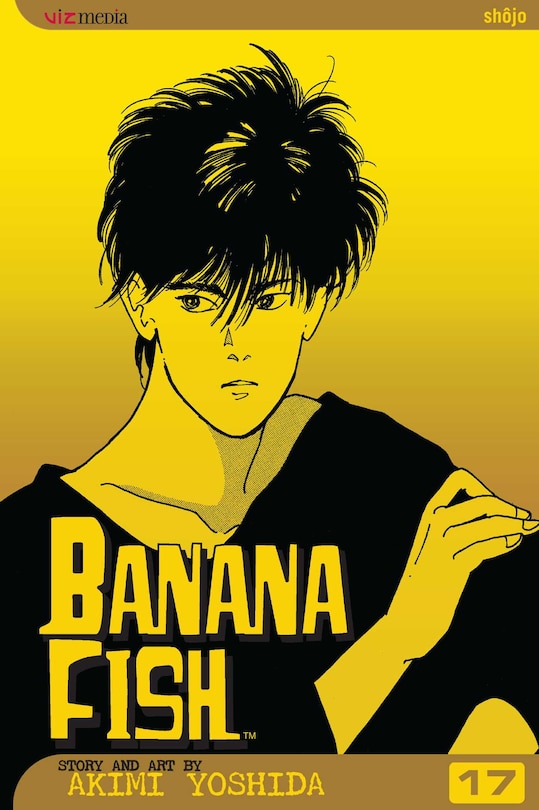 Front cover_Banana Fish, Vol. 17