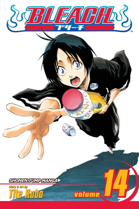 Front cover_Bleach, Vol. 14