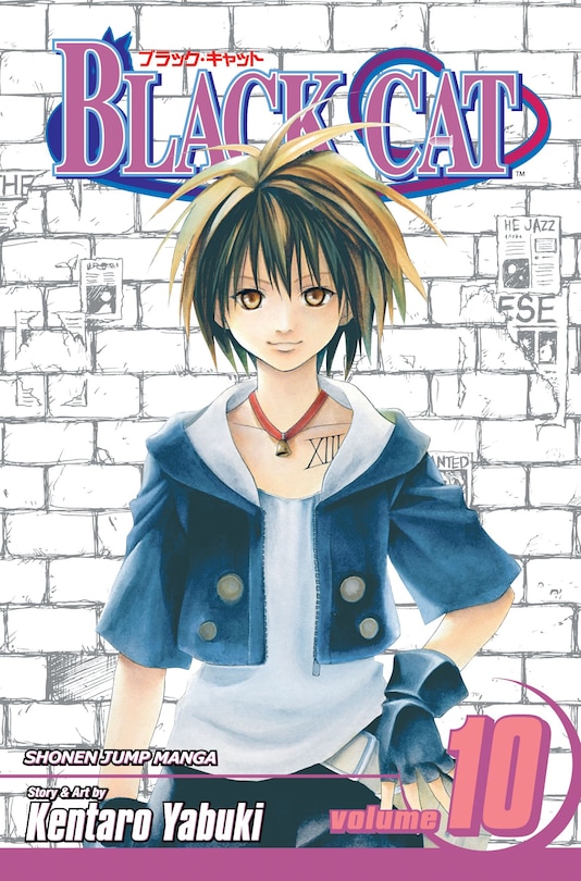 Front cover_Black Cat, Vol. 10