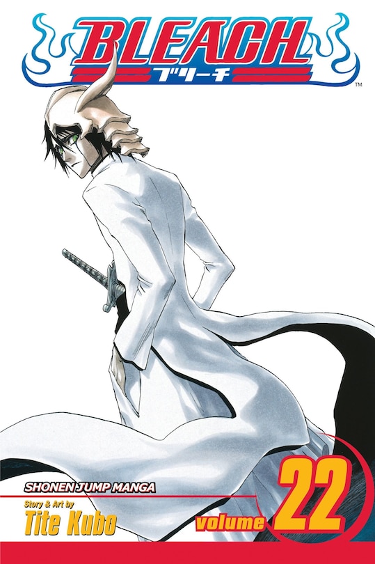 Front cover_Bleach, Vol. 22