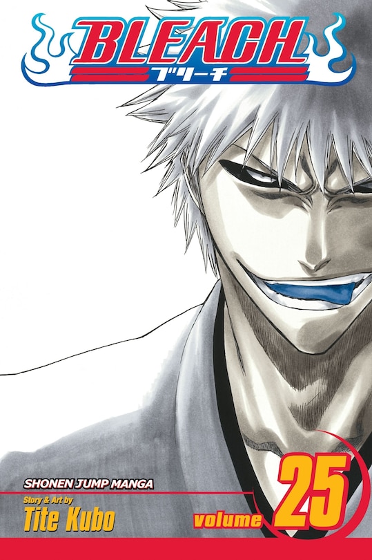 Front cover_Bleach, Vol. 25