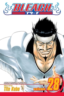 Front cover_Bleach, Vol. 28