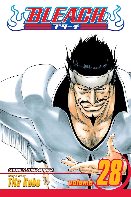 Front cover_Bleach, Vol. 28