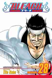 Bleach, Vol. 28: Baron's Lecture Full-course by Tite Kubo