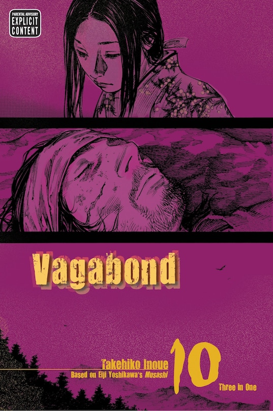 Front cover_Vagabond (VIZBIG Edition), Vol. 10