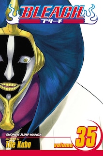 Front cover_Bleach, Vol. 35