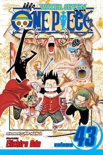 Front cover_One Piece, Vol. 43