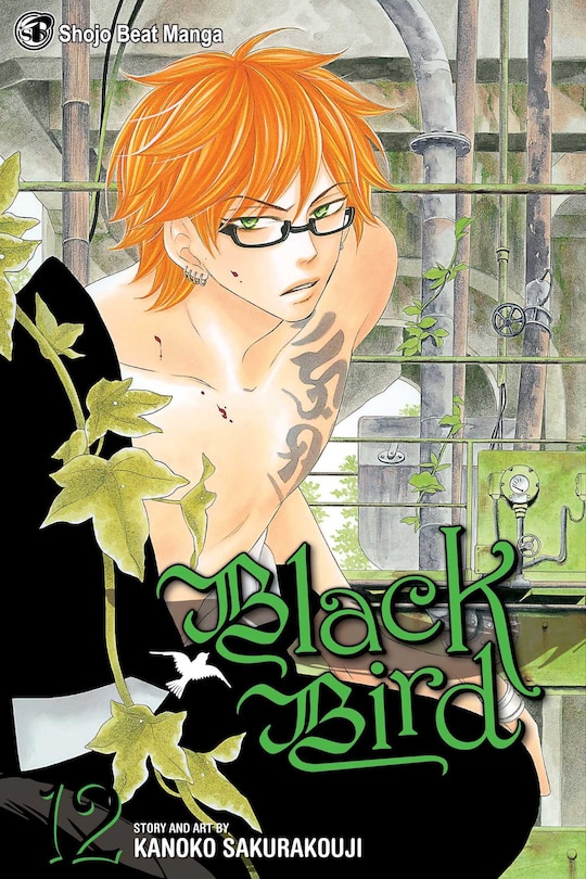 Front cover_Black Bird, Vol. 12