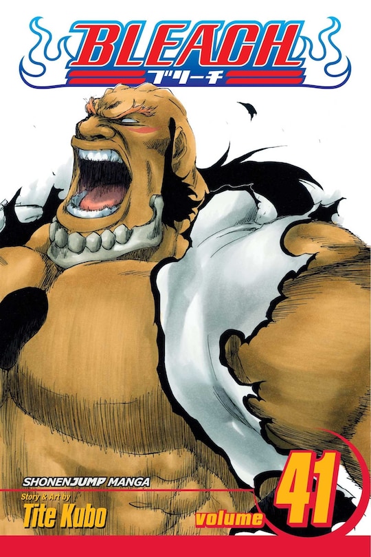 Couverture_Bleach, Vol. 41