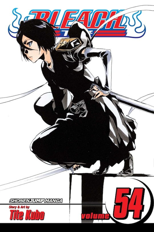 Front cover_Bleach, Vol. 54