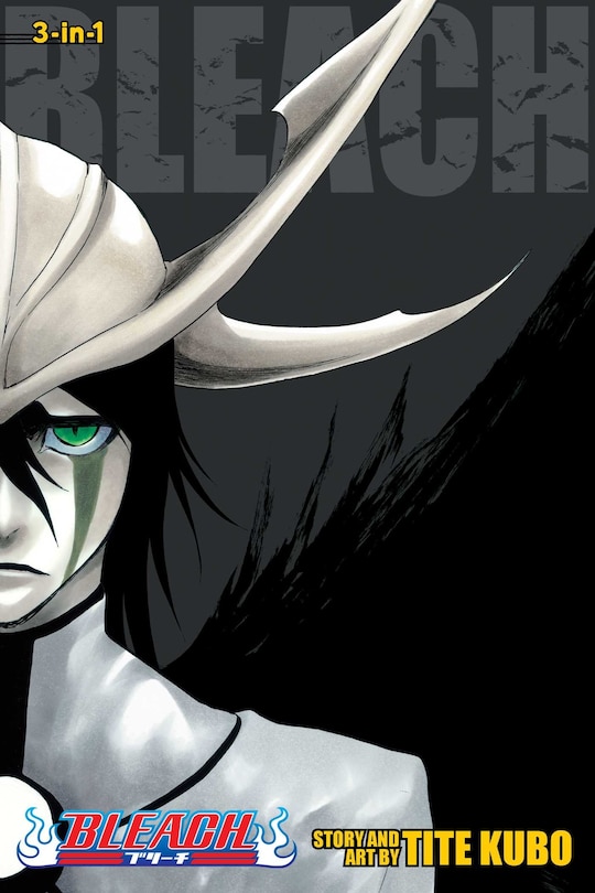 Front cover_Bleach (3-in-1 Edition), Vol. 14