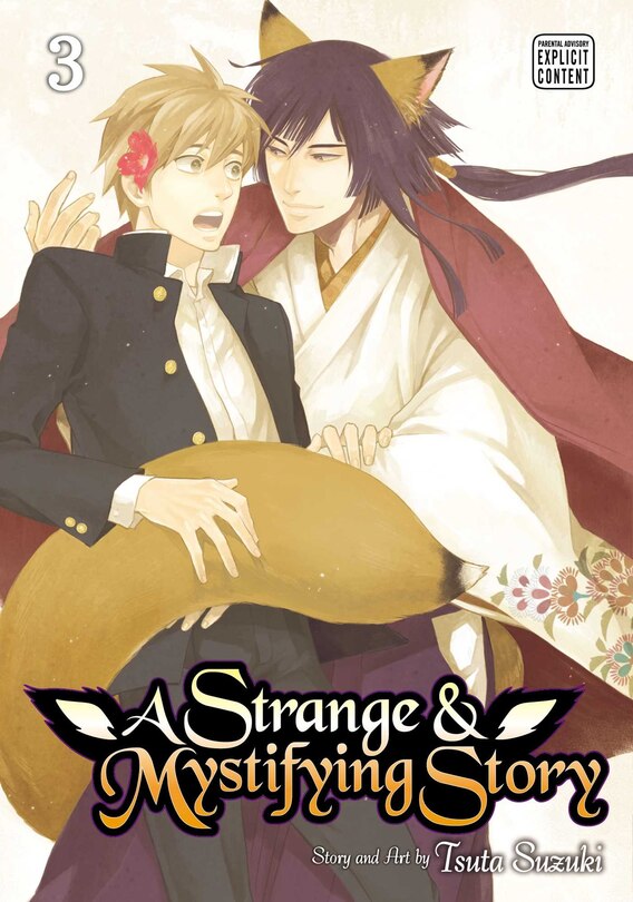 Front cover_A Strange & Mystifying Story, Vol. 3