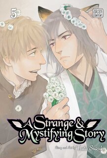 Front cover_A Strange & Mystifying Story, Vol. 5