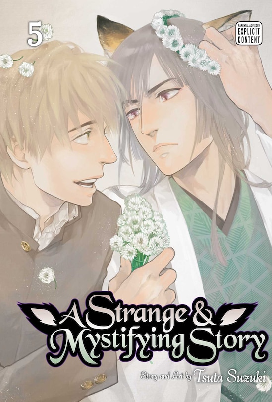 Front cover_A Strange & Mystifying Story, Vol. 5