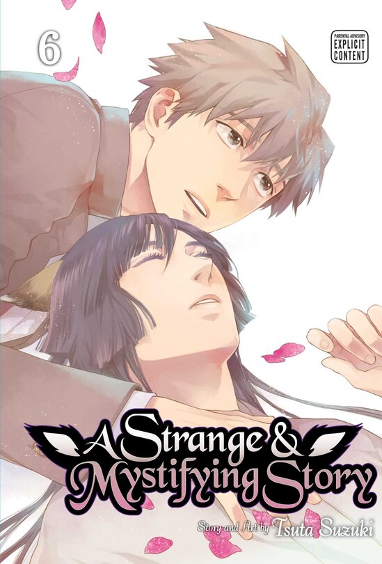 Front cover_A Strange & Mystifying Story, Vol. 6