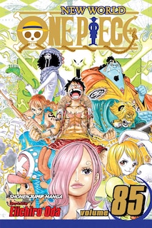 Front cover_One Piece, Vol. 85
